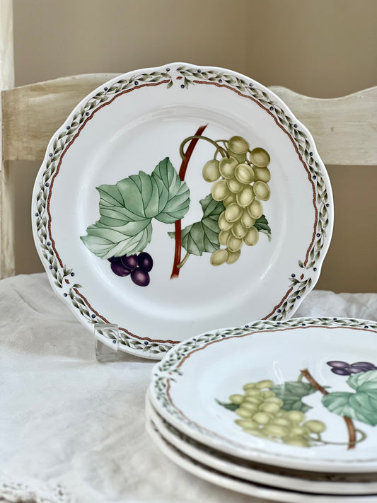 Set (4) Royal Orchard by Noritake Primachina Bread & Butter Plates, 6.5”