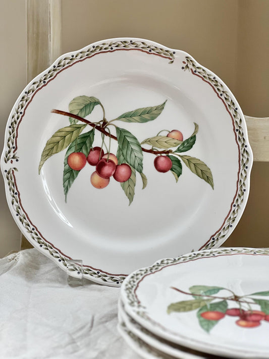 Vintage Set (4) Royal Orchard by Noritake Primachina Salad or Dessert Plates, Japan, 8.5" diameter