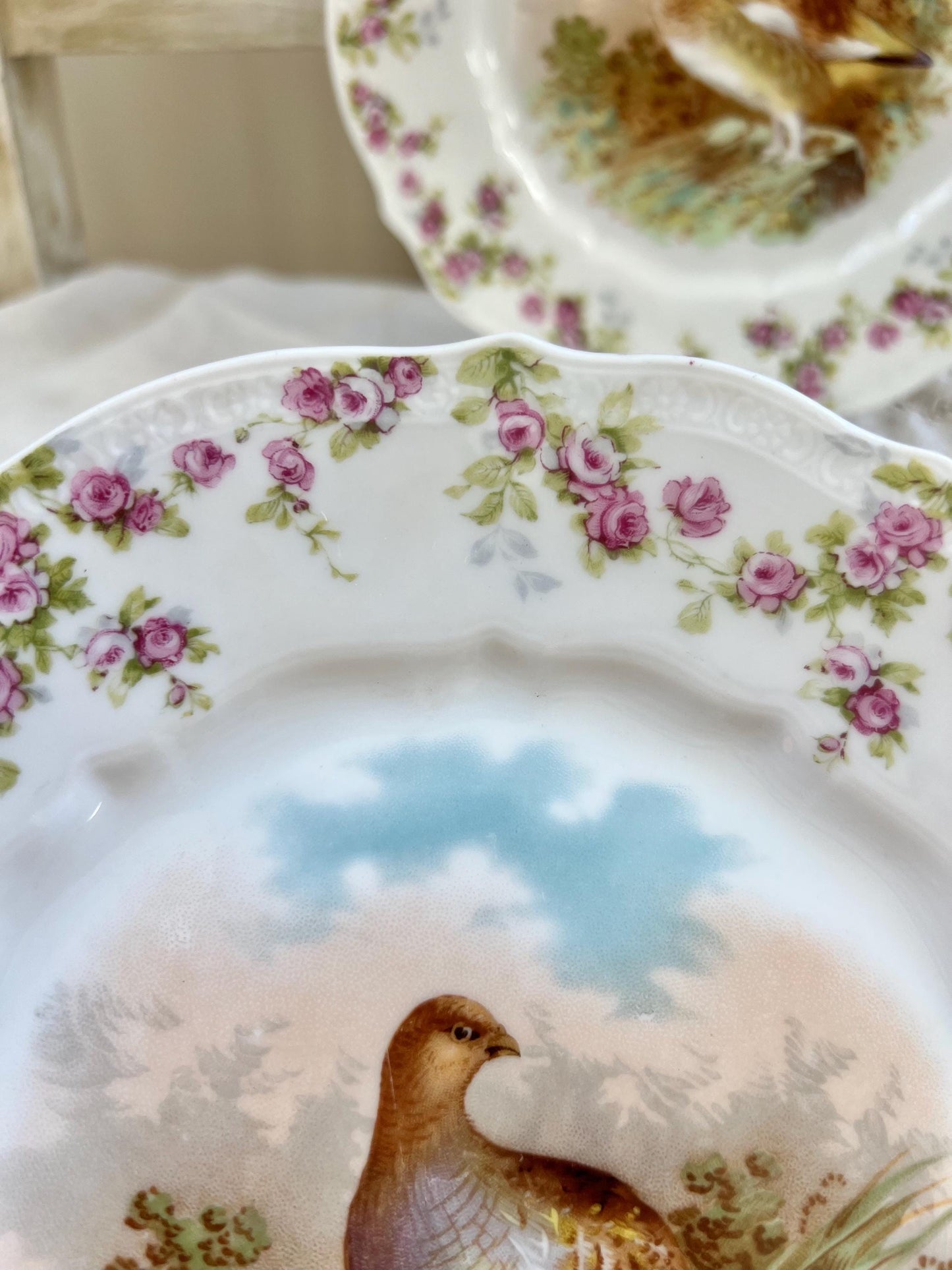 Pair of Antique C. T. Germany Game Bird Decorative Porcelain Plates, 8.25"
