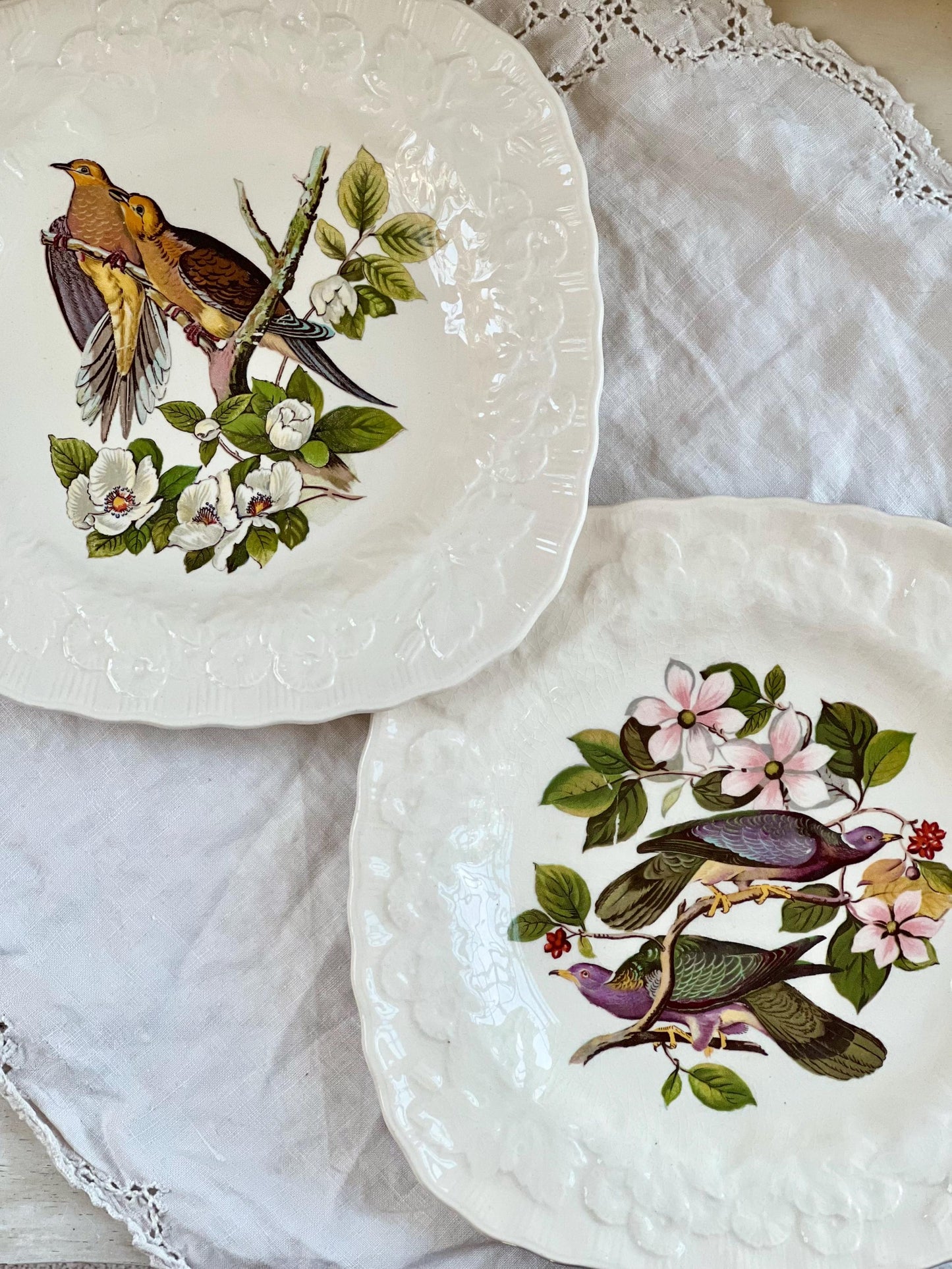 Beautiful Pair of Birds of America Square Shaped Plates, Alfred Meakin, Audubon's Birds of America, Band Tailed Pigeon, Carolina Turtle Dove