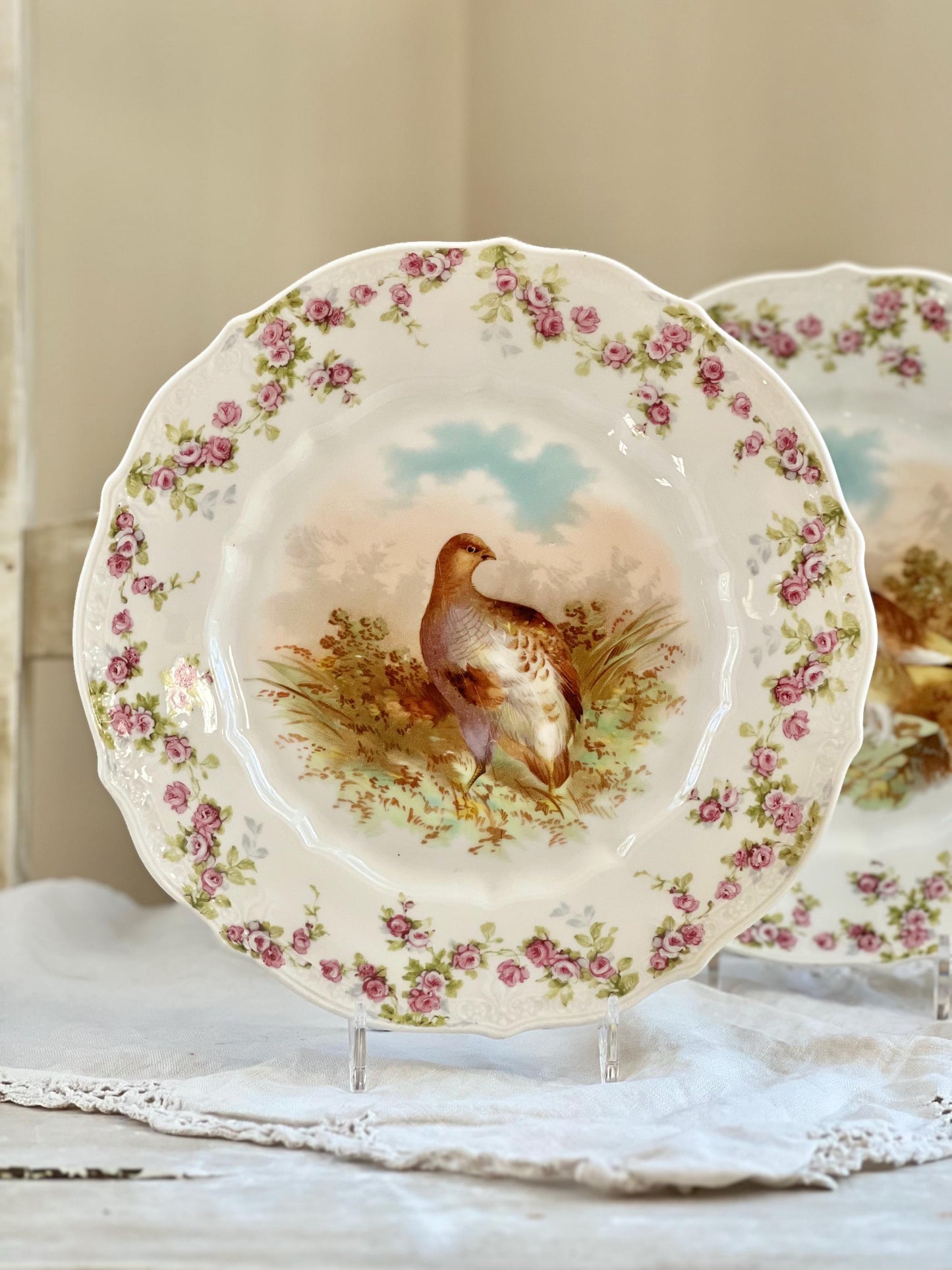 Pair of Antique C. T. Germany Game Bird Decorative Porcelain Plates, 8.25"