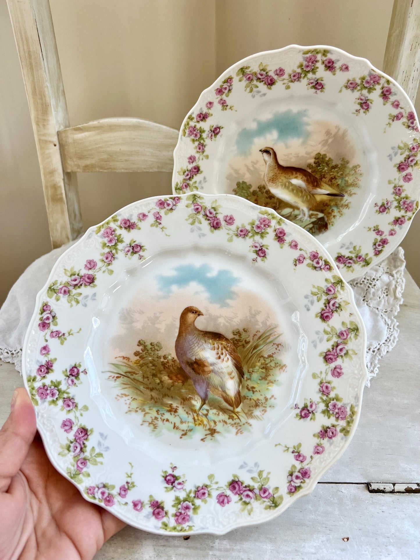 Pair of Antique C. T. Germany Game Bird Decorative Porcelain Plates, 8.25"