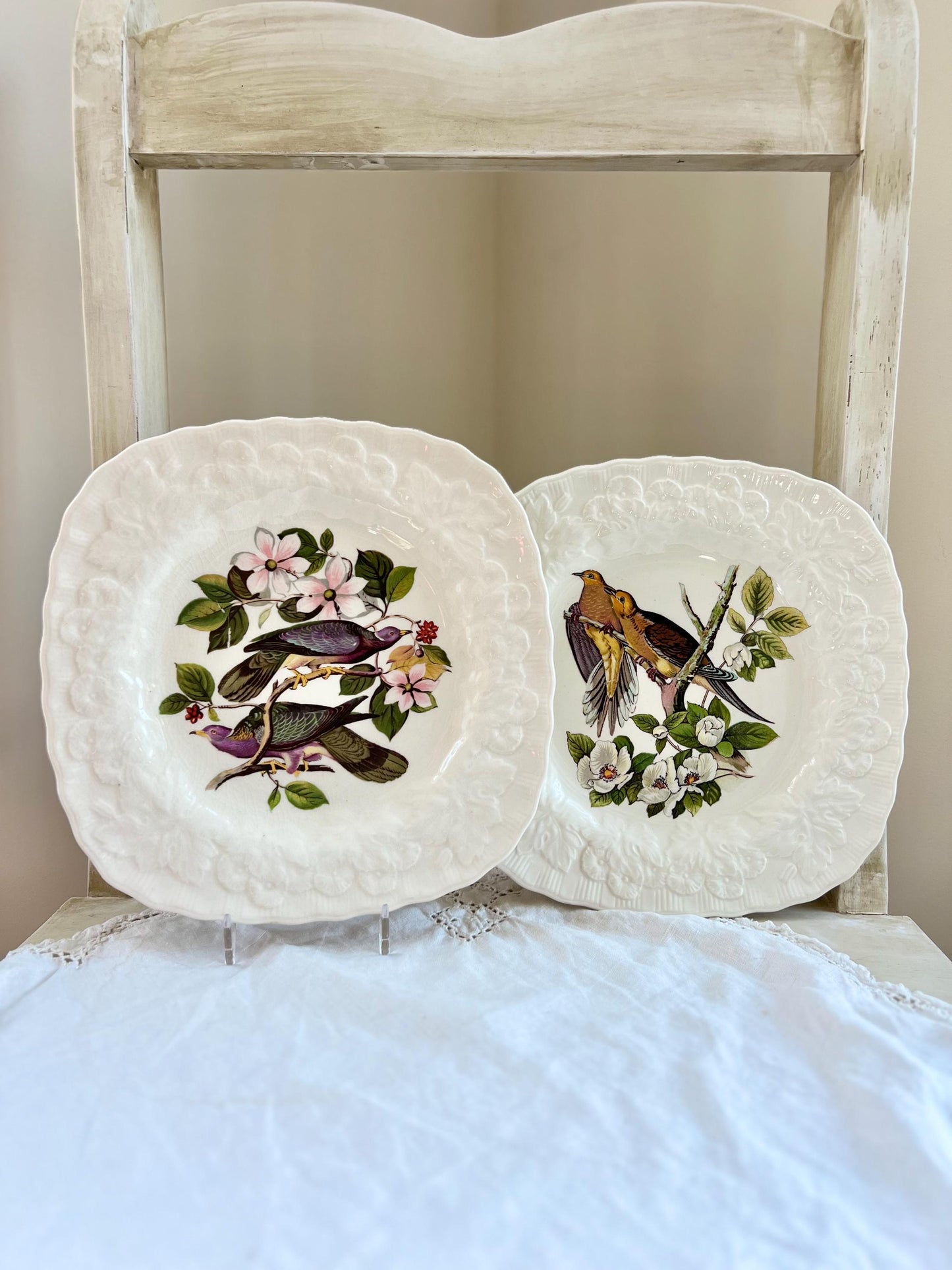 Beautiful Pair of Birds of America Square Shaped Plates, Alfred Meakin, Audubon's Birds of America, Band Tailed Pigeon, Carolina Turtle Dove