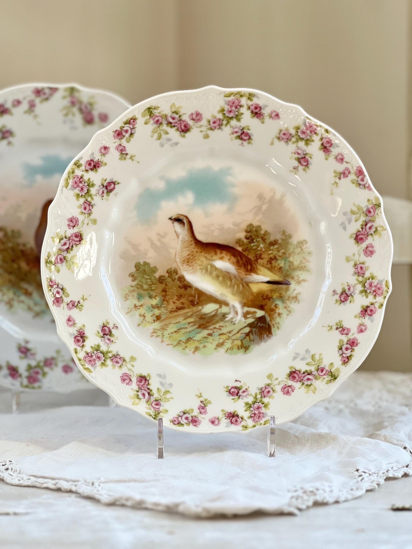 Pair of Antique C. T. Germany Game Bird Decorative Porcelain Plates, 8.25"