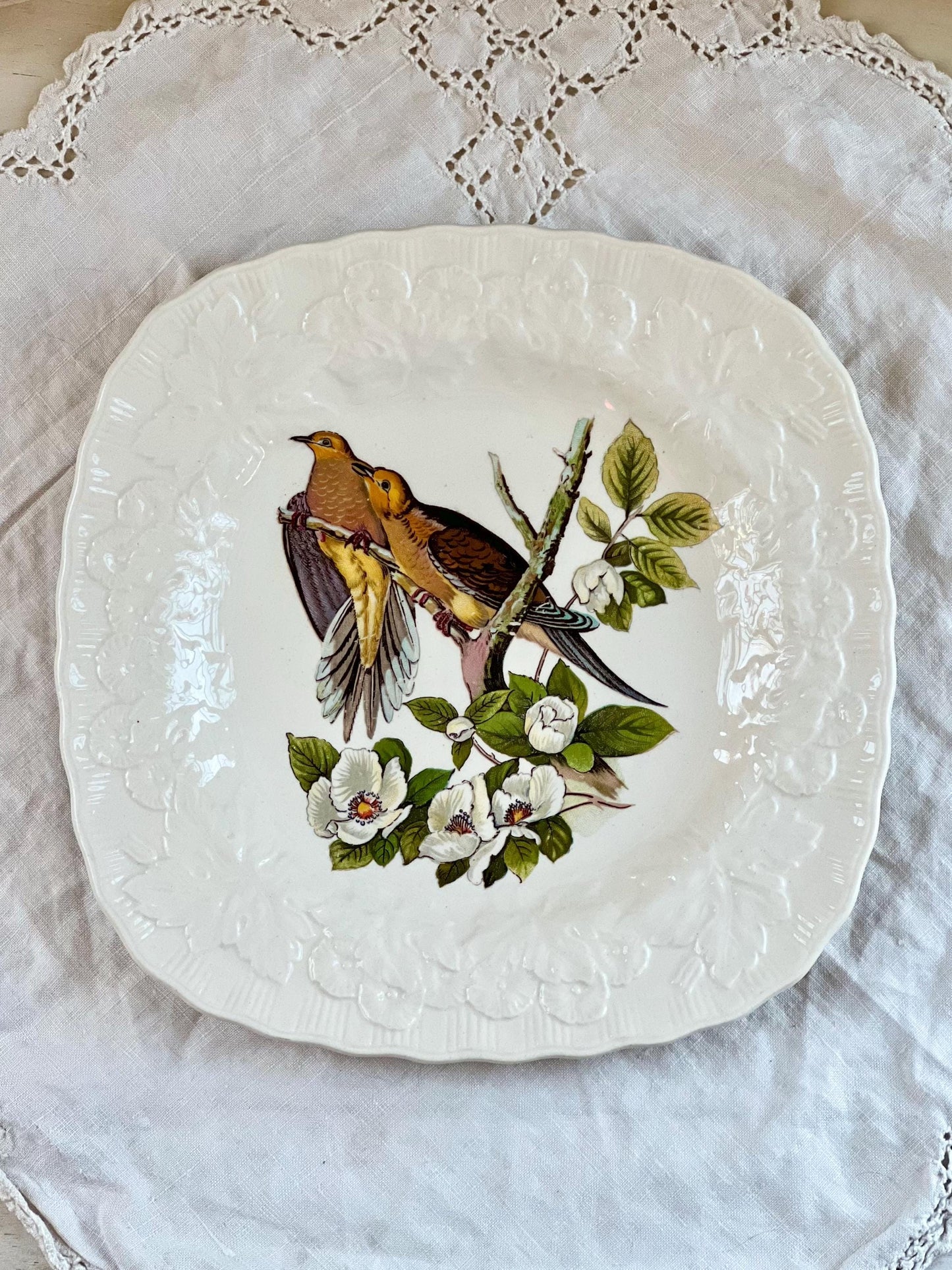 Beautiful Pair of Birds of America Square Shaped Plates, Alfred Meakin, Audubon's Birds of America, Band Tailed Pigeon, Carolina Turtle Dove