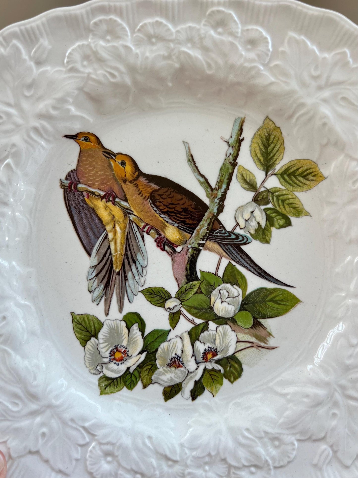 Beautiful Pair of Birds of America Square Shaped Plates, Alfred Meakin, Audubon's Birds of America, Band Tailed Pigeon, Carolina Turtle Dove