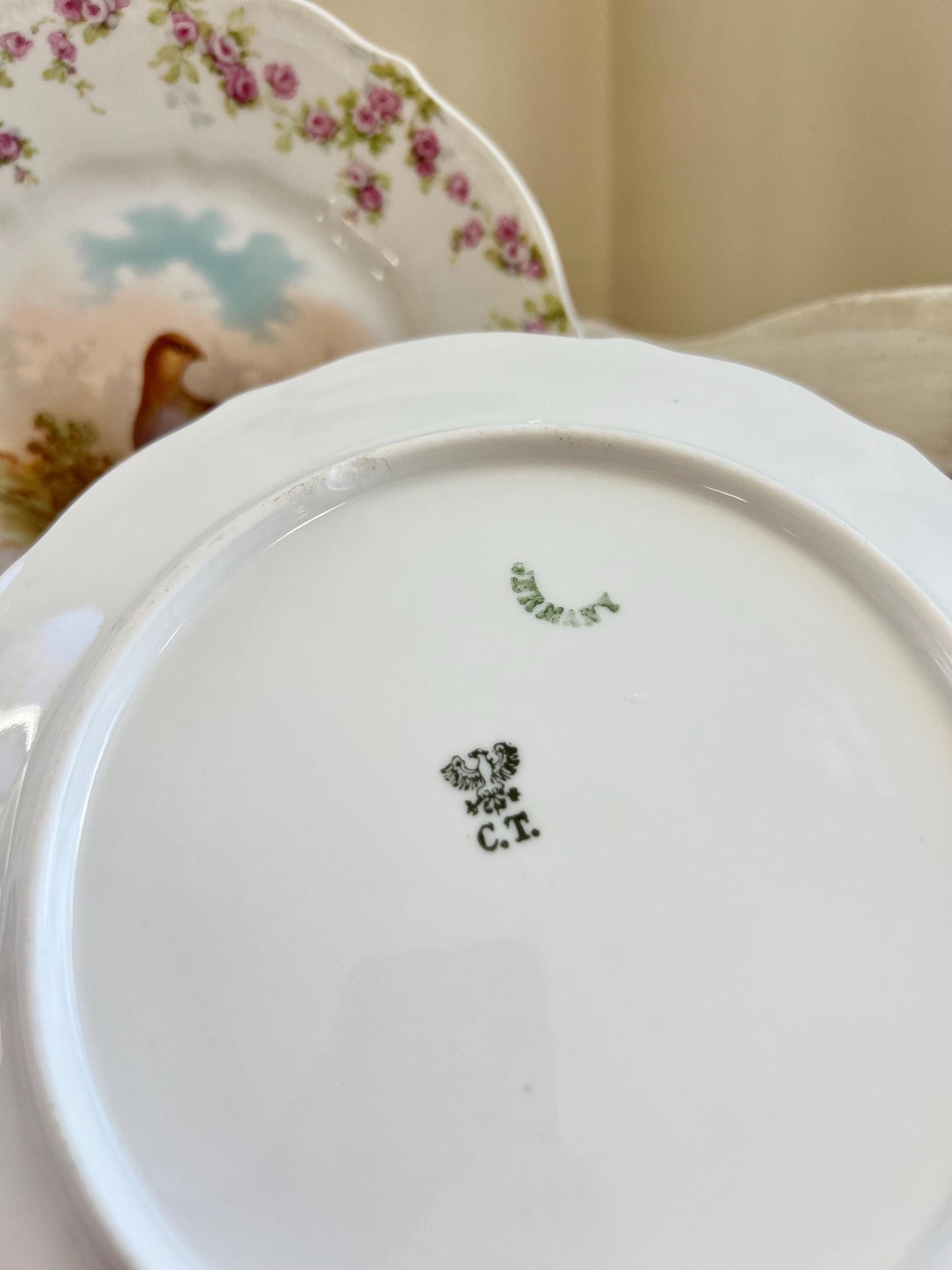 Pair of Antique C. T. Germany Game Bird Decorative Porcelain Plates, 8.25"