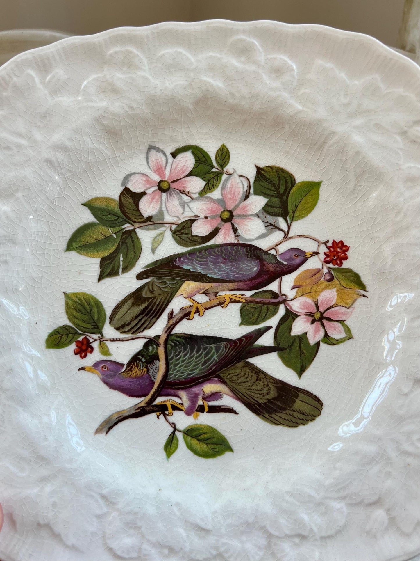 Beautiful Pair of Birds of America Square Shaped Plates, Alfred Meakin, Audubon's Birds of America, Band Tailed Pigeon, Carolina Turtle Dove