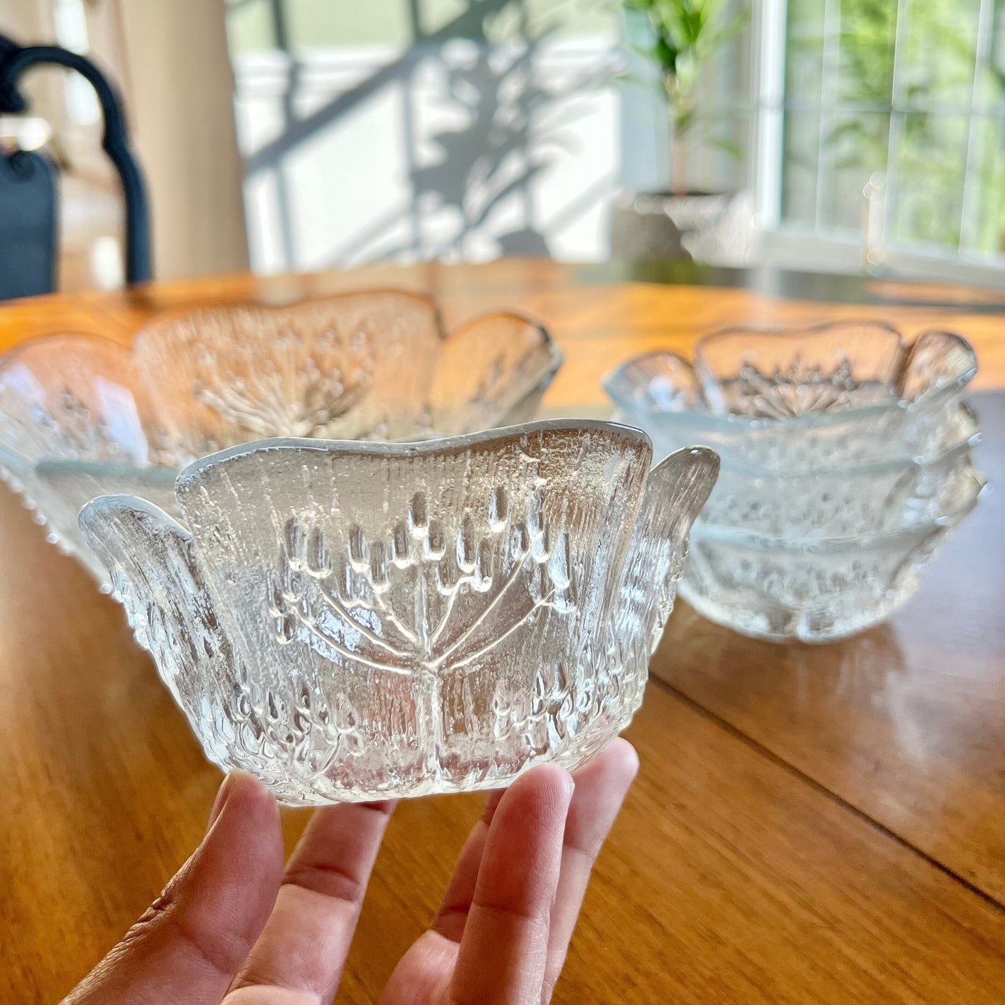 Vintage Glass Serving Bowl & (4) Individual Bowls, Koiranputki (Cow Parsley) by Pertti Kallioinen, Lasisepat Mantsala, Finland