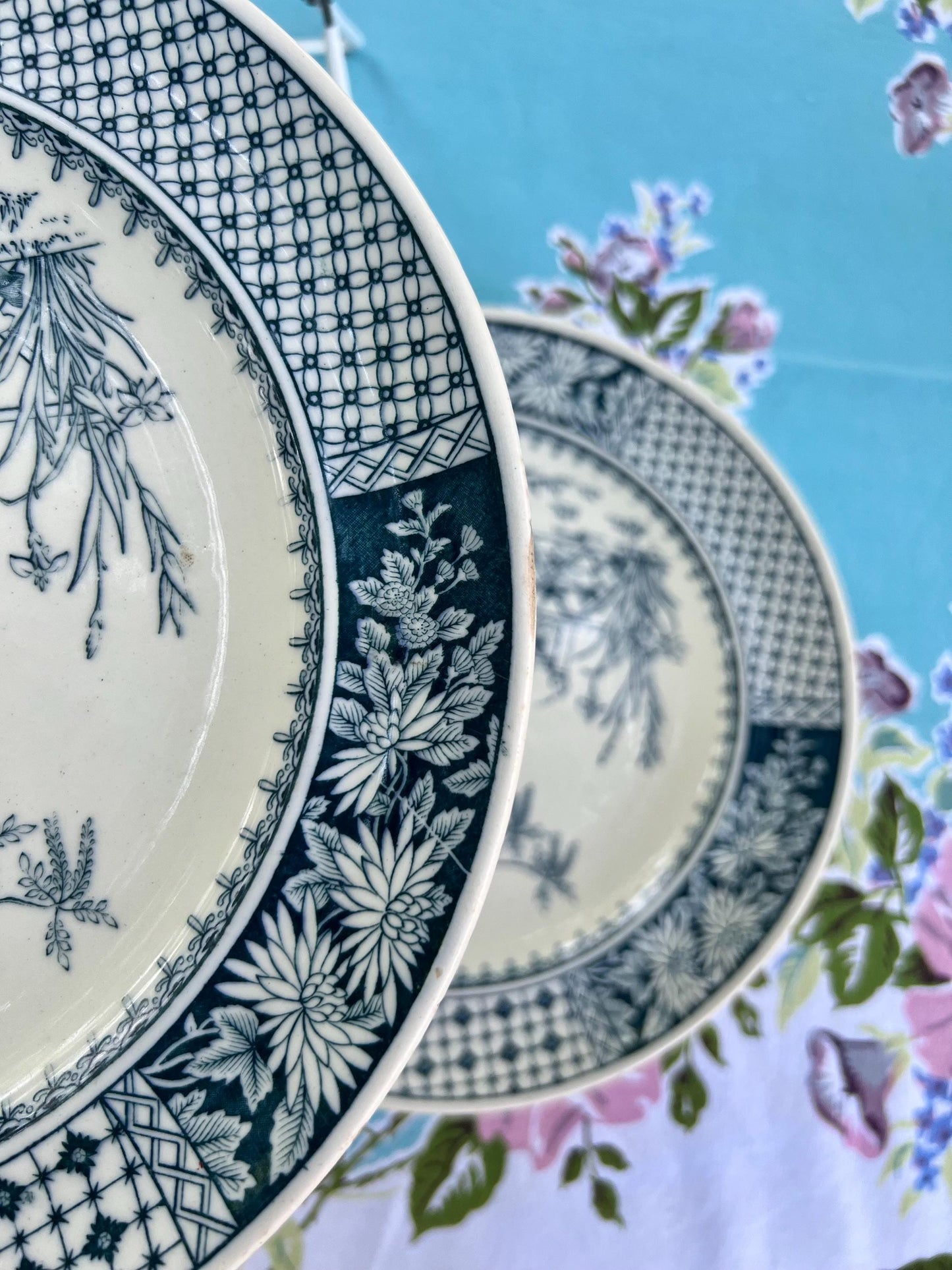 Beautiful Pair of Antique Copeland Aesthetic Movement Plates, Kew Pattern, London Botanical Gardens, England