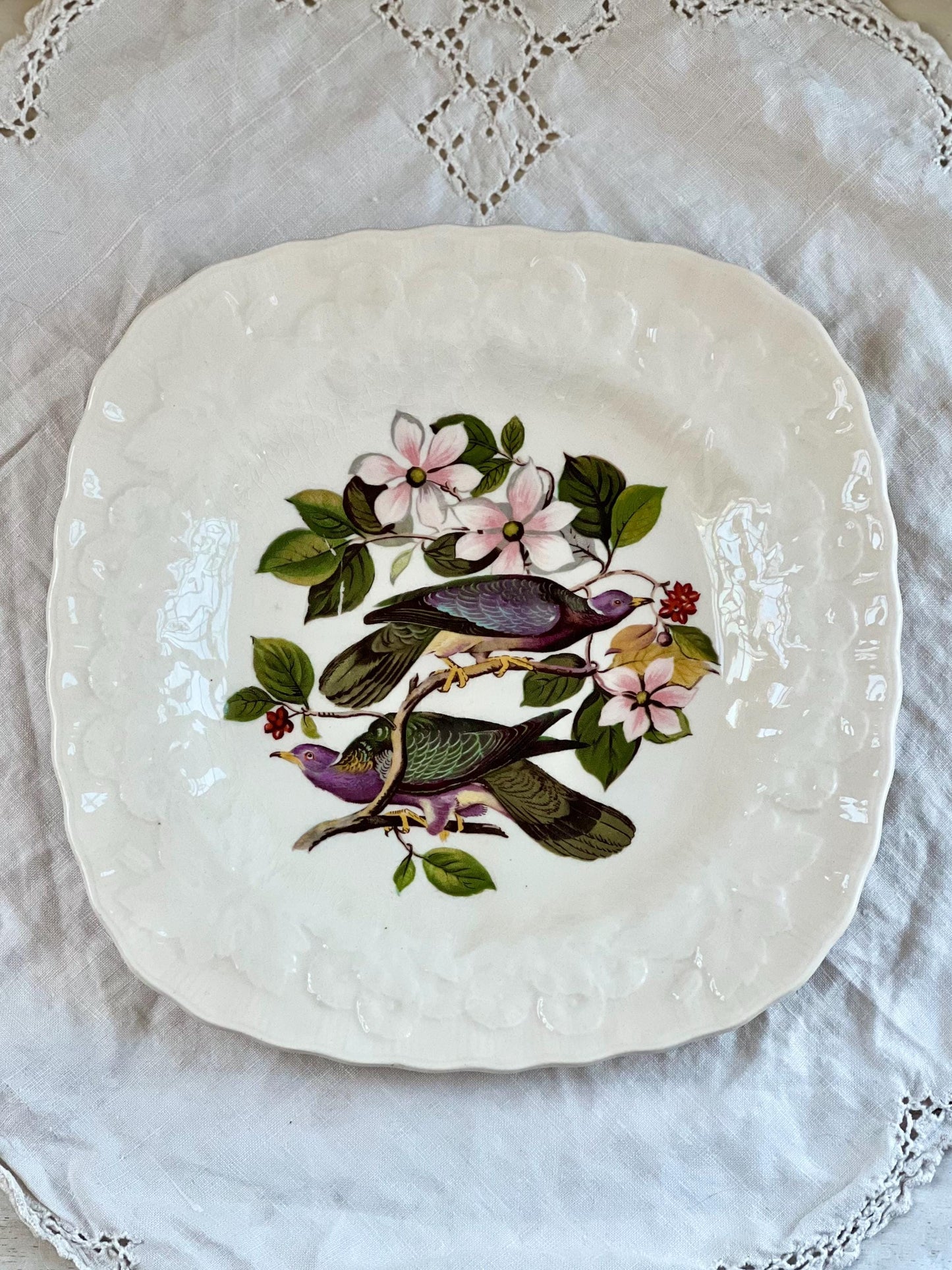 Beautiful Pair of Birds of America Square Shaped Plates, Alfred Meakin, Audubon's Birds of America, Band Tailed Pigeon, Carolina Turtle Dove