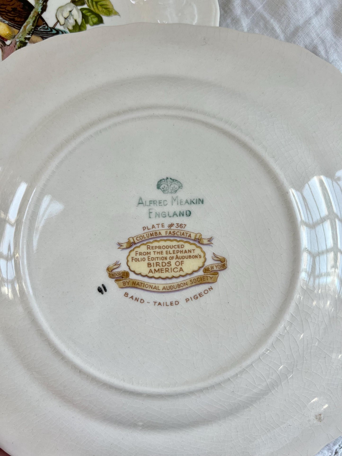 Beautiful Pair of Birds of America Square Shaped Plates, Alfred Meakin, Audubon's Birds of America, Band Tailed Pigeon, Carolina Turtle Dove