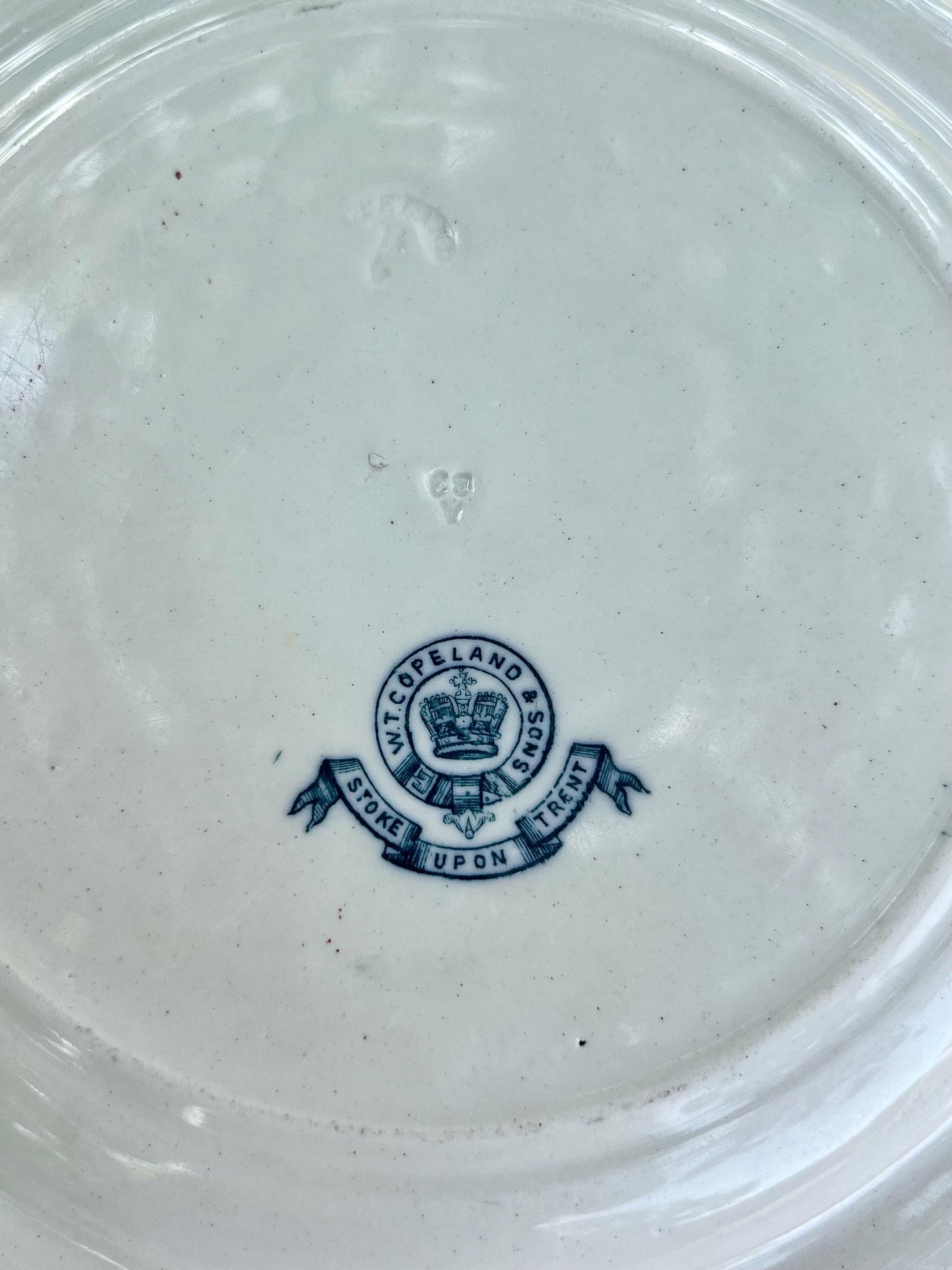 Beautiful Pair of Antique Copeland Aesthetic Movement Plates, Kew Pattern, London Botanical Gardens, England
