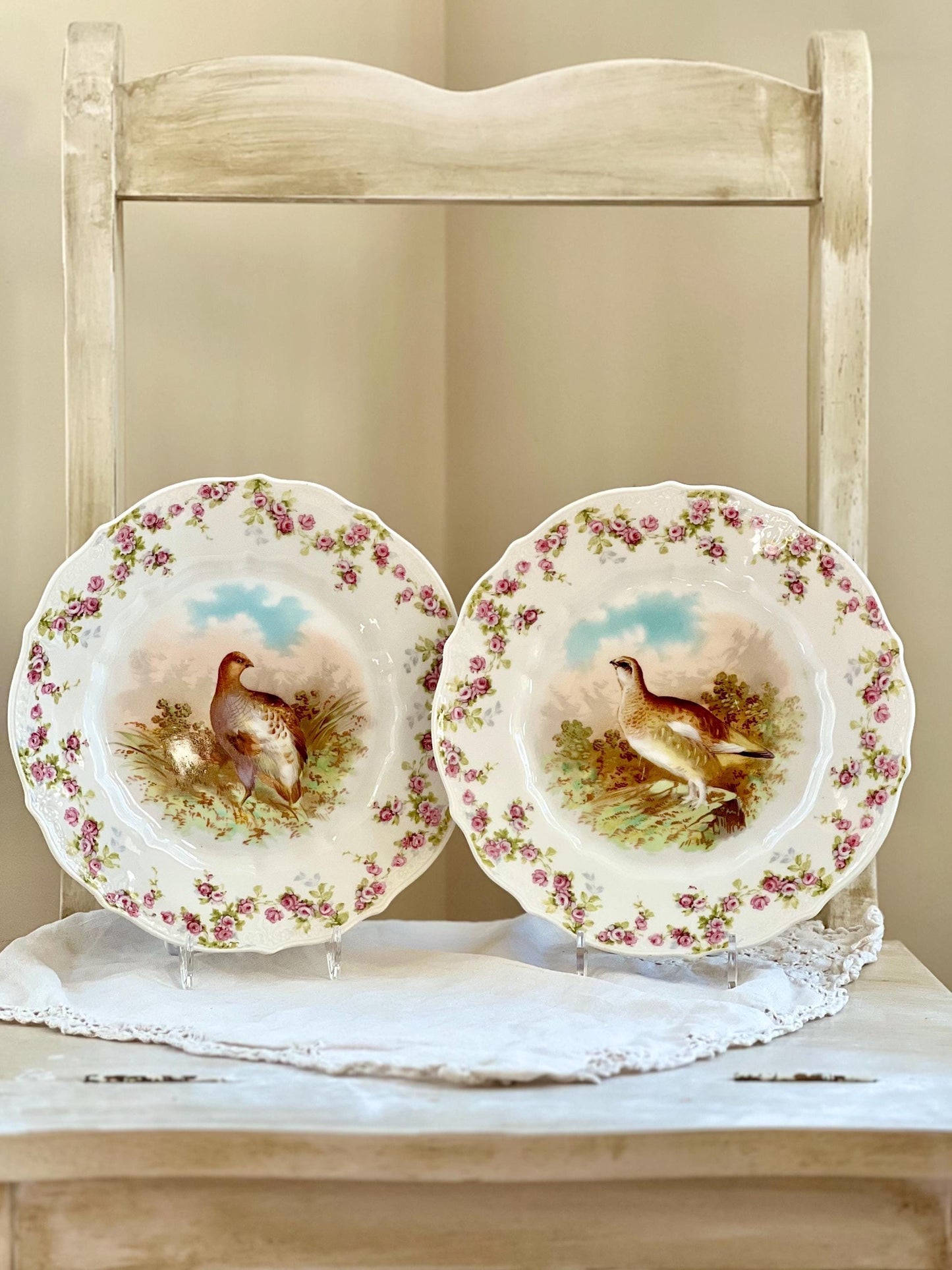 Pair of Antique C. T. Germany Game Bird Decorative Porcelain Plates, 8.25"
